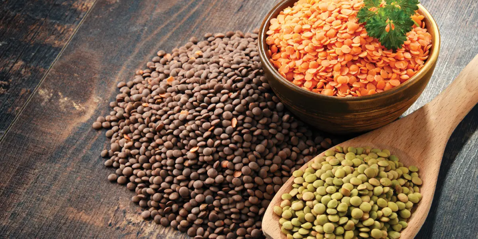 Linsen für Babys und Kinder – Kleine Hülsenfrucht, große Wirkung!