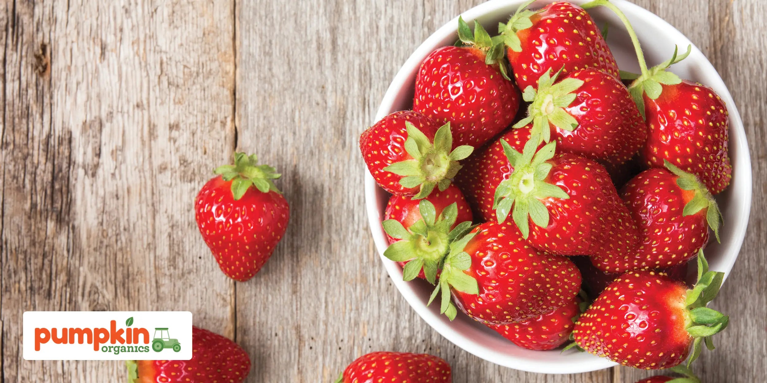Ab wann dürfen Babys Erdbeeren essen? Alles zu Beikost, Allergien und sicherem Essen