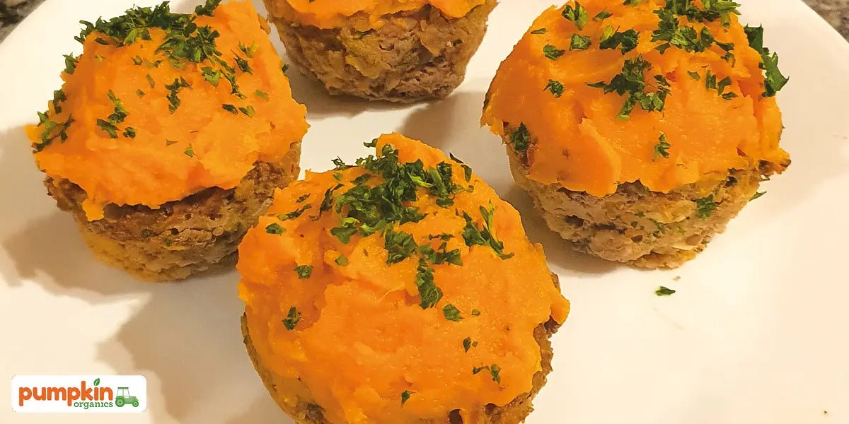 Beef Cakes - Pumpkin Organics