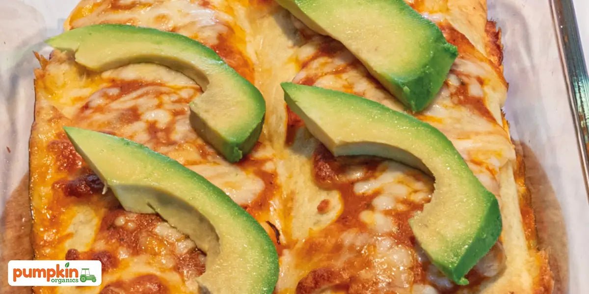 Enchiladas – vegetarisch und suuuper lecker - Pumpkin Organics