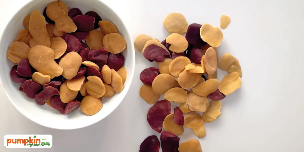 Gemüsige Quetschie-Drops - Pumpkin Organics