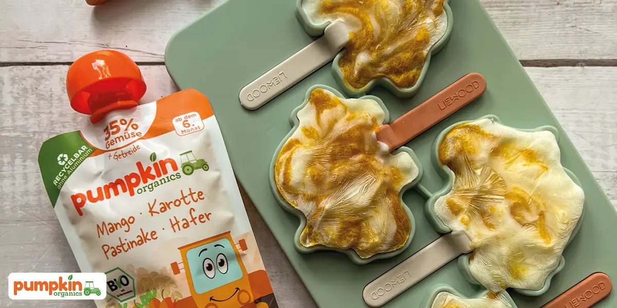 Quetschie-Eis mit Joghurt - Pumpkin Organics