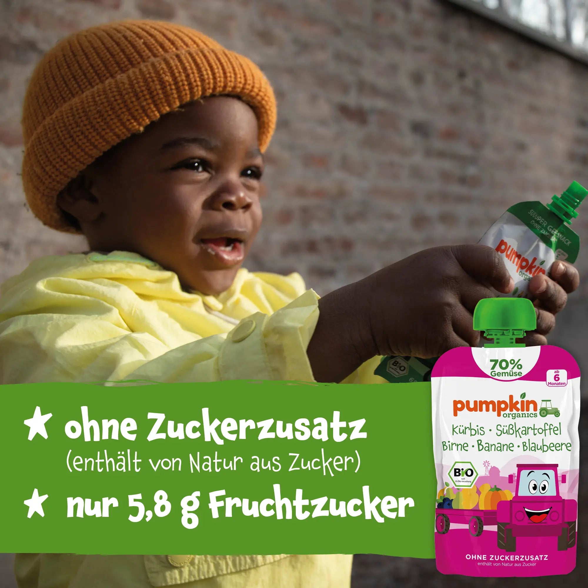 Bio Gemüse - Quetschie Kürbis, Süßkartoffel, Birne, Banane, Blaubeere - Pumpkin Organics