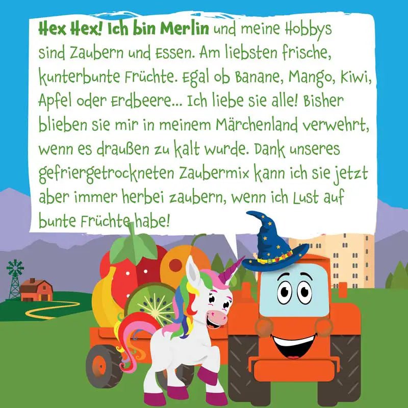 Bio Zaubermix Fruchtchips - Pumpkin Organics