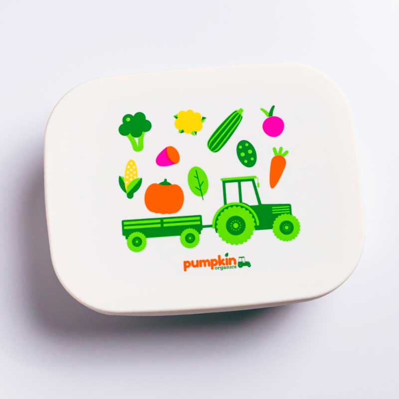 Brotdose aus Edelstahl und Silikon - Pumpkin Organics