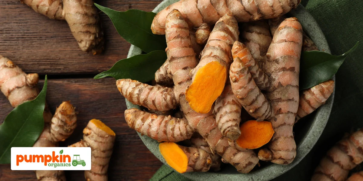 Eignet sich Kurkuma für Babys und Kleinkinder?