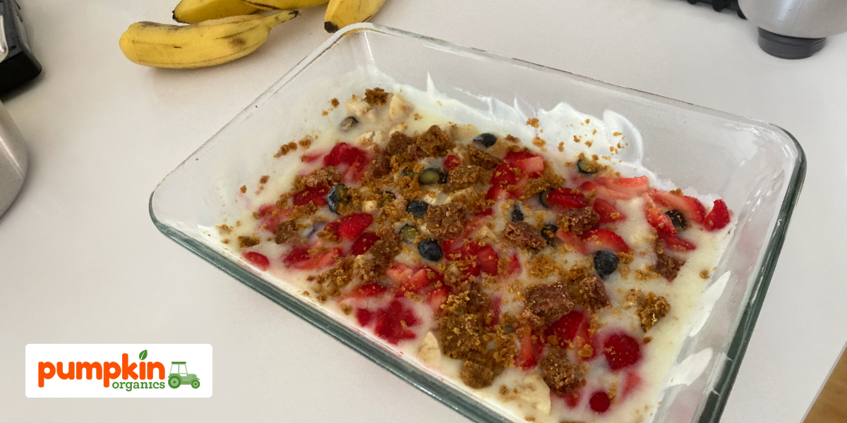 Frozen Joghurt Bites ohne Zucker