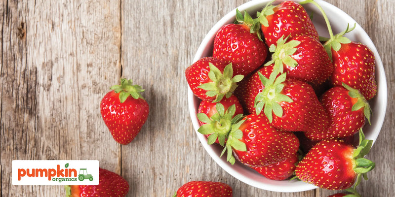 Ab wann dürfen Babys Erdbeeren essen? Alles zu Beikost, Allergien und sicherem Essen