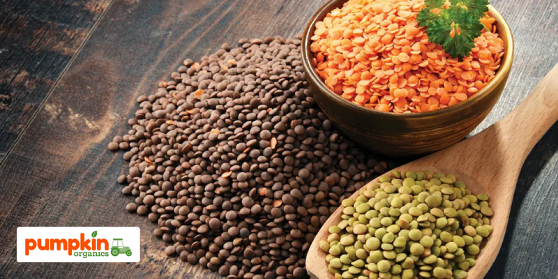 Linsen für Babys und Kinder – Kleine Hülsenfrucht, große Wirkung!