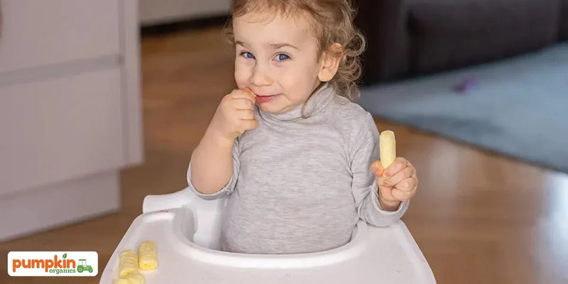 Auswirkung von Ballaststoffen auf Verstopfung