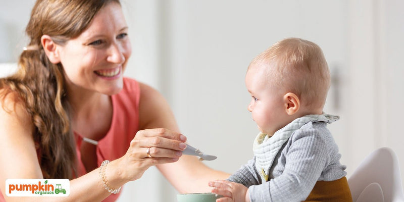 Baby Led Weaning: Solltest du Beikost breifrei anbieten?
