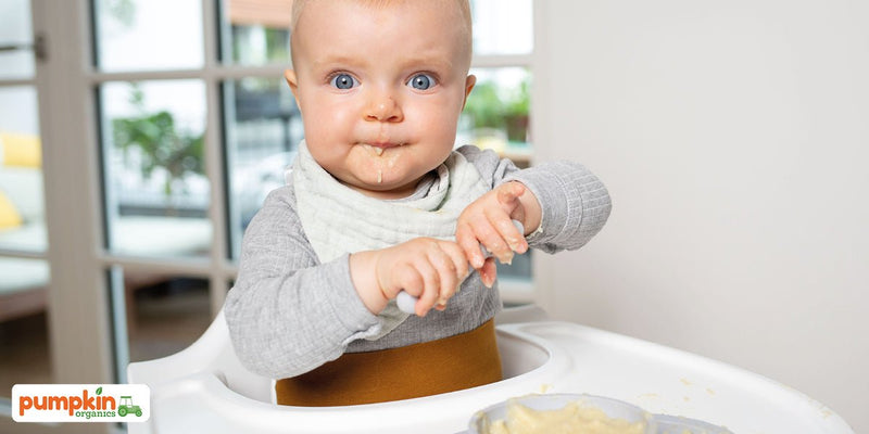 Babybrei einfrieren - Die wichtigsten Tipps und Tricks