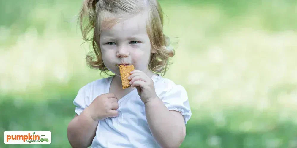 Ballaststoffe in der Kinderernährung - Pumpkin Organics