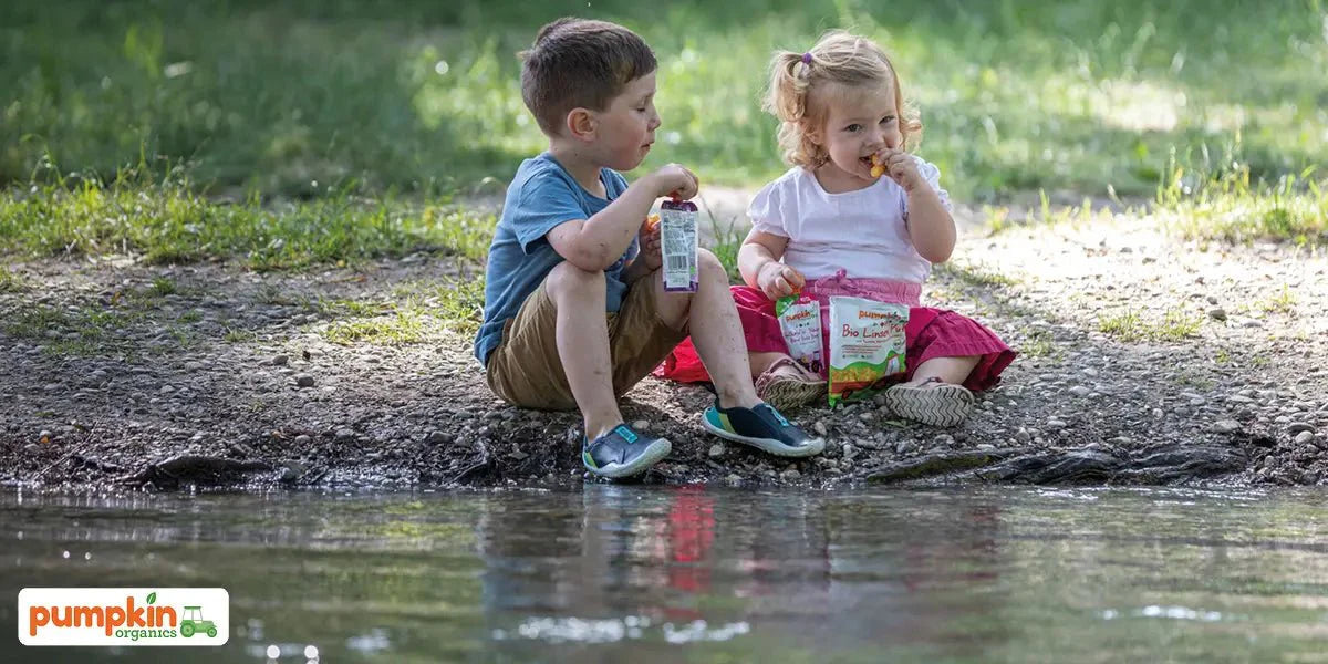 Fünf Tipps, um frisch durch den Sommer zu kommen  - Pumpkin Organics