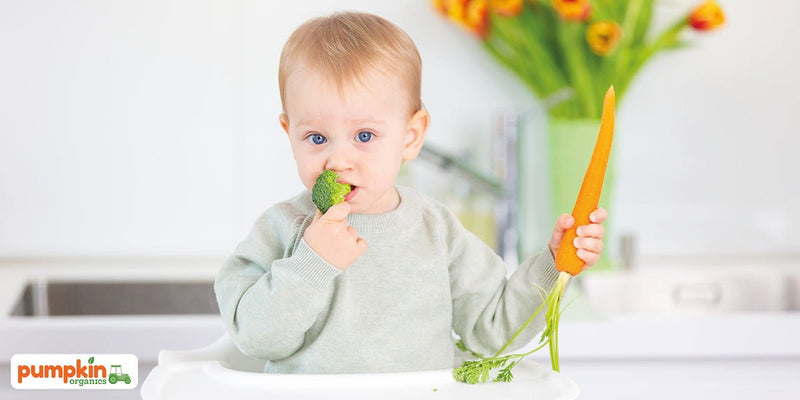 Tipps damit dein Kind Gemüse isst