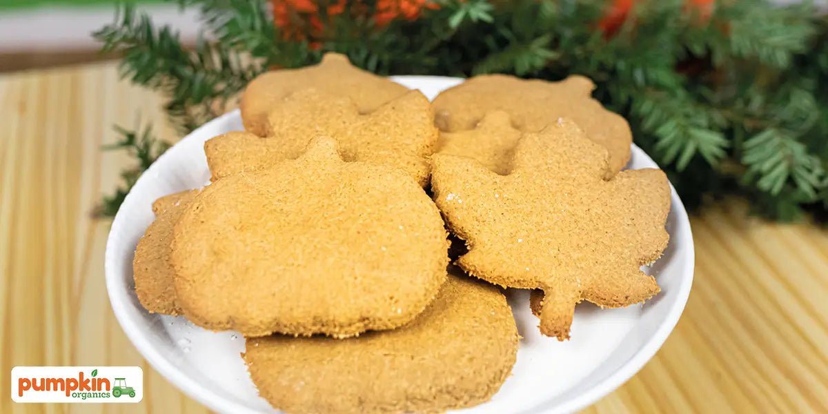 Gingerbread Cookies ohne Zucker - Pumpkin Organics