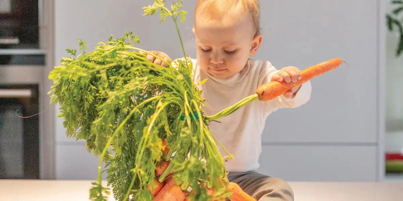 Guide: Top 10 Gemüsesorten für den Beikoststart – mit Zubereitungstipps