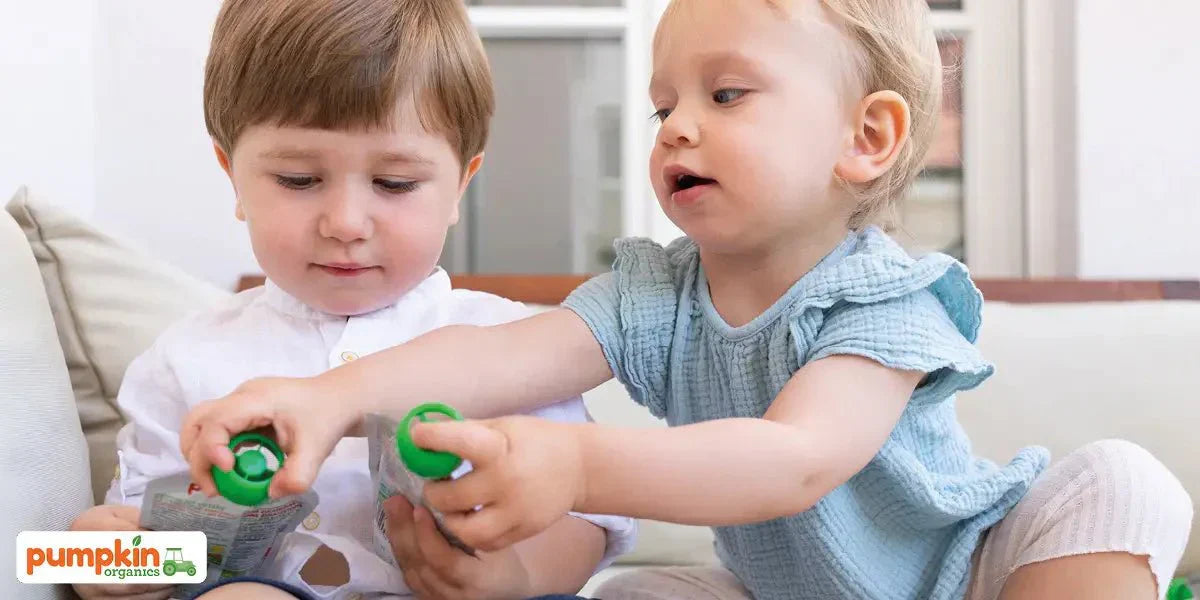 Ich packe meinen Koffer…. und nehme Gemüse-Quetschies mit - Pumpkin Organics