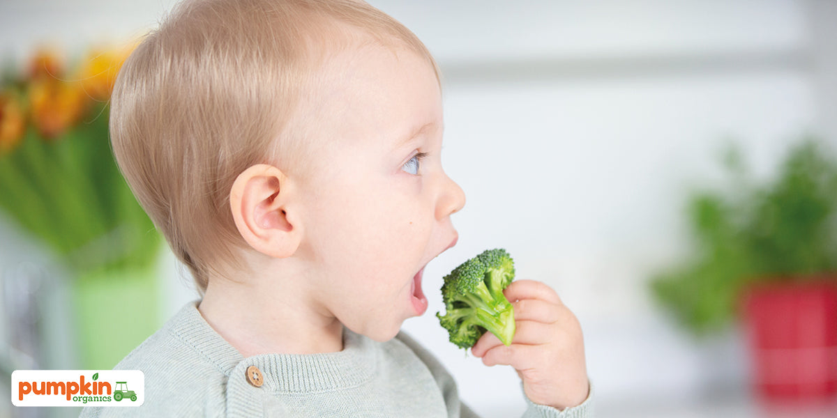 Ist Obst für Babys und Kinder schädlich?