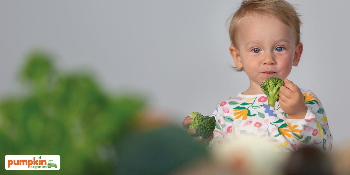 Obstbrei für Babys: Frucht-Gefahr aus der Tube?