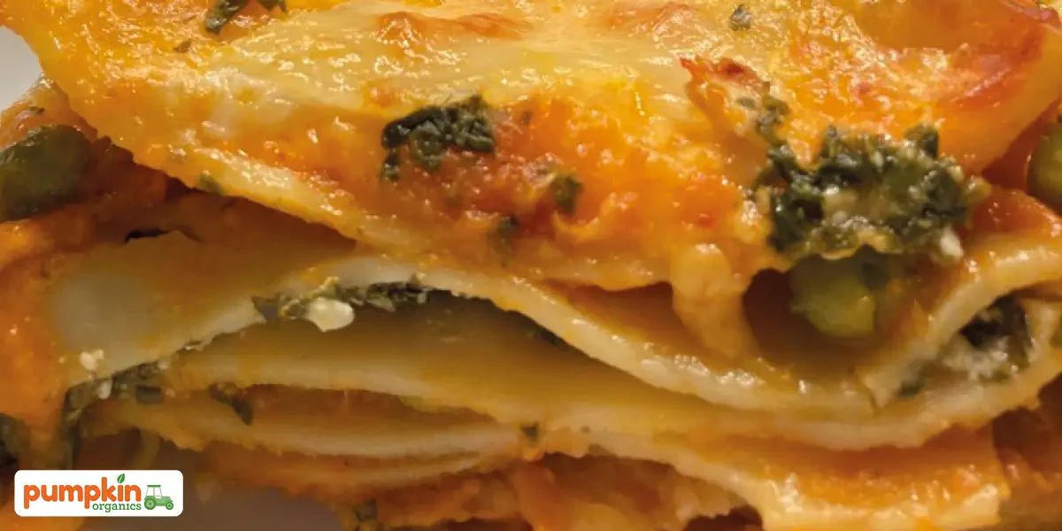 Jaclyn’s Gemüse-Lasagne - Pumpkin Organics