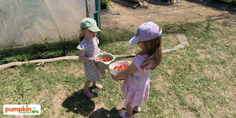 Kinder lieben Erdbeeren? Und sind sie auch gut für sie?