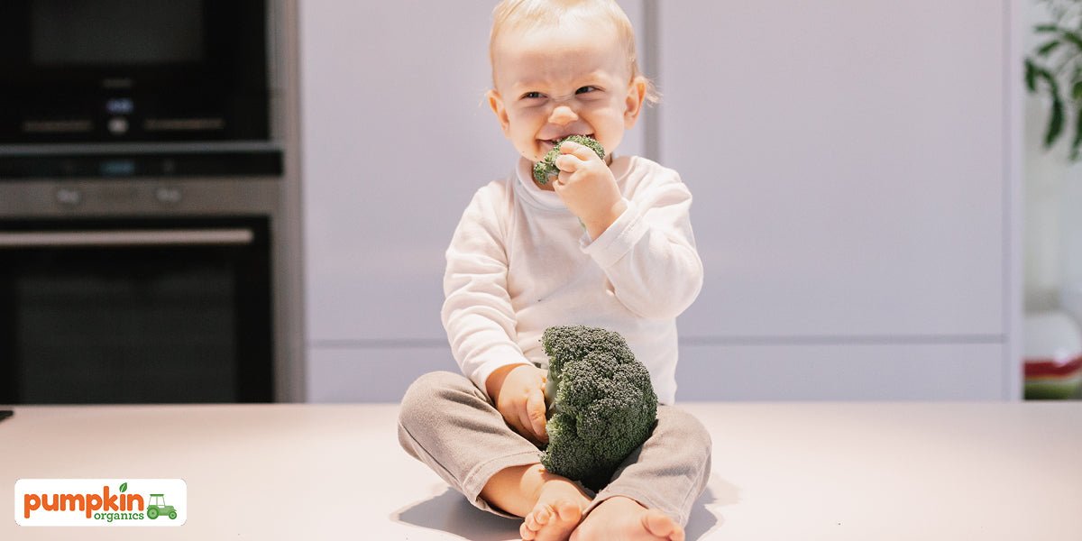 Warum sollten wir viel Vitamin-C essen? - Pumpkin Organics