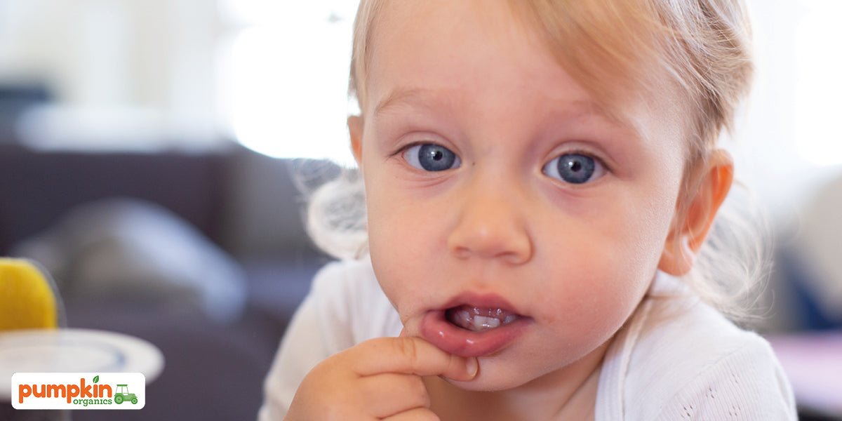 Wie schädlich ist Fruktose für dein Baby? - Pumpkin Organics