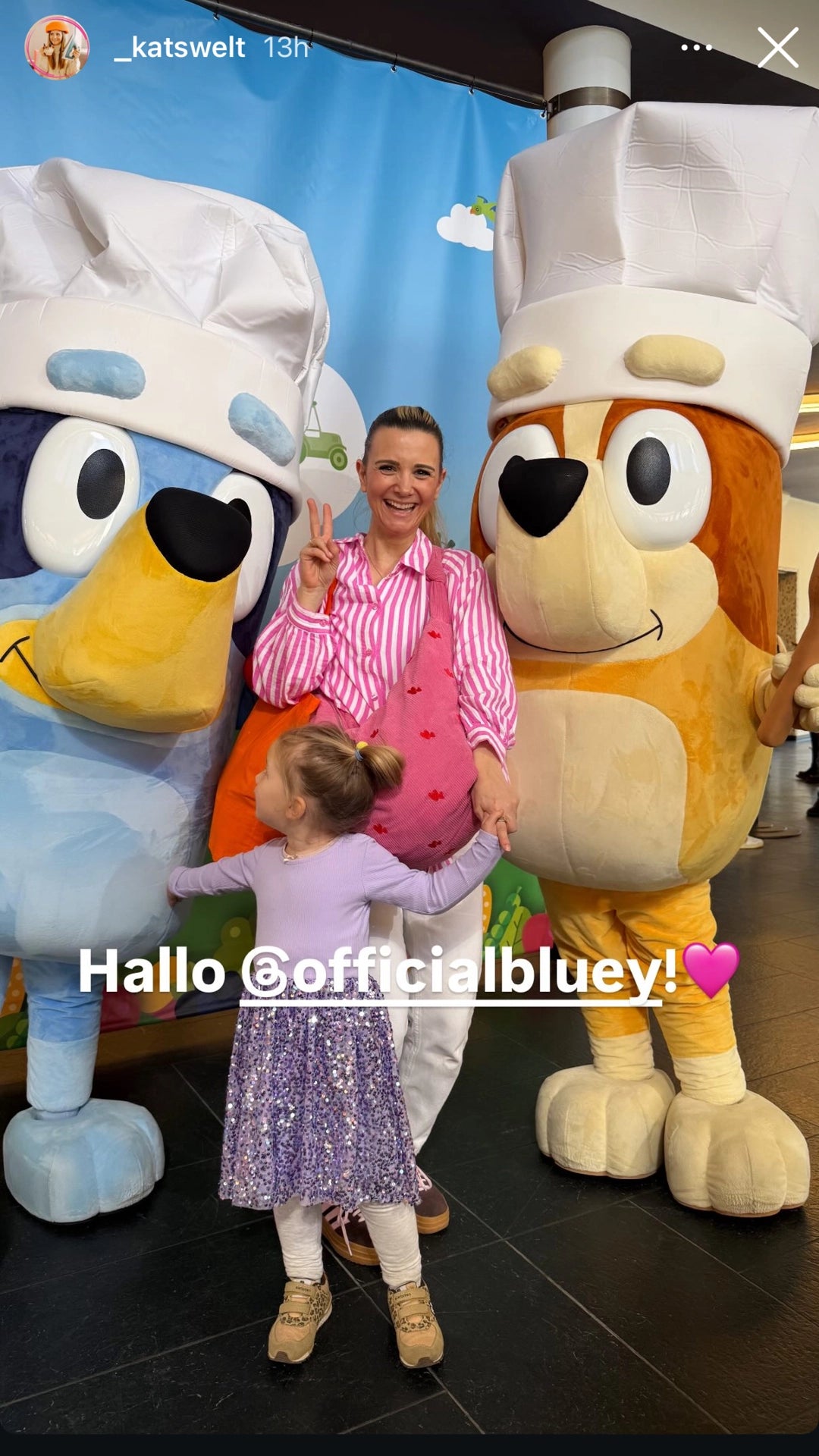 Bluey und Bingo mit @_katswelt