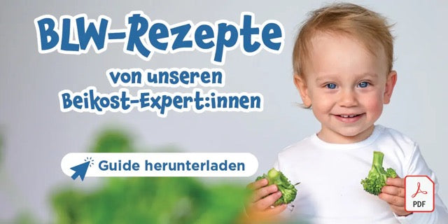 BLW Rezepte von unseren Beikost-Expert:innen Guide herunterladen