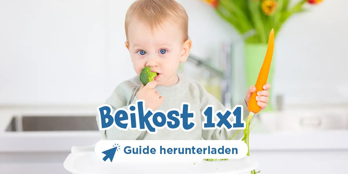 Beikost 1x1 Guide herunterladen