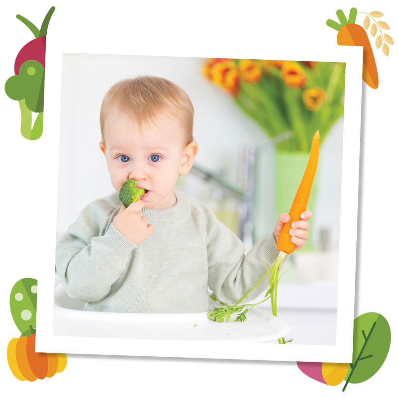 Baby Brokkoli Gemüse Karotte 