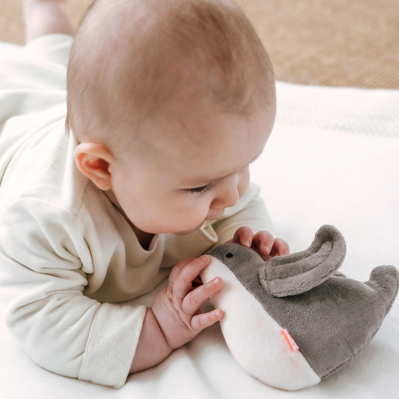 Babys Erste Liebe Probierpaket