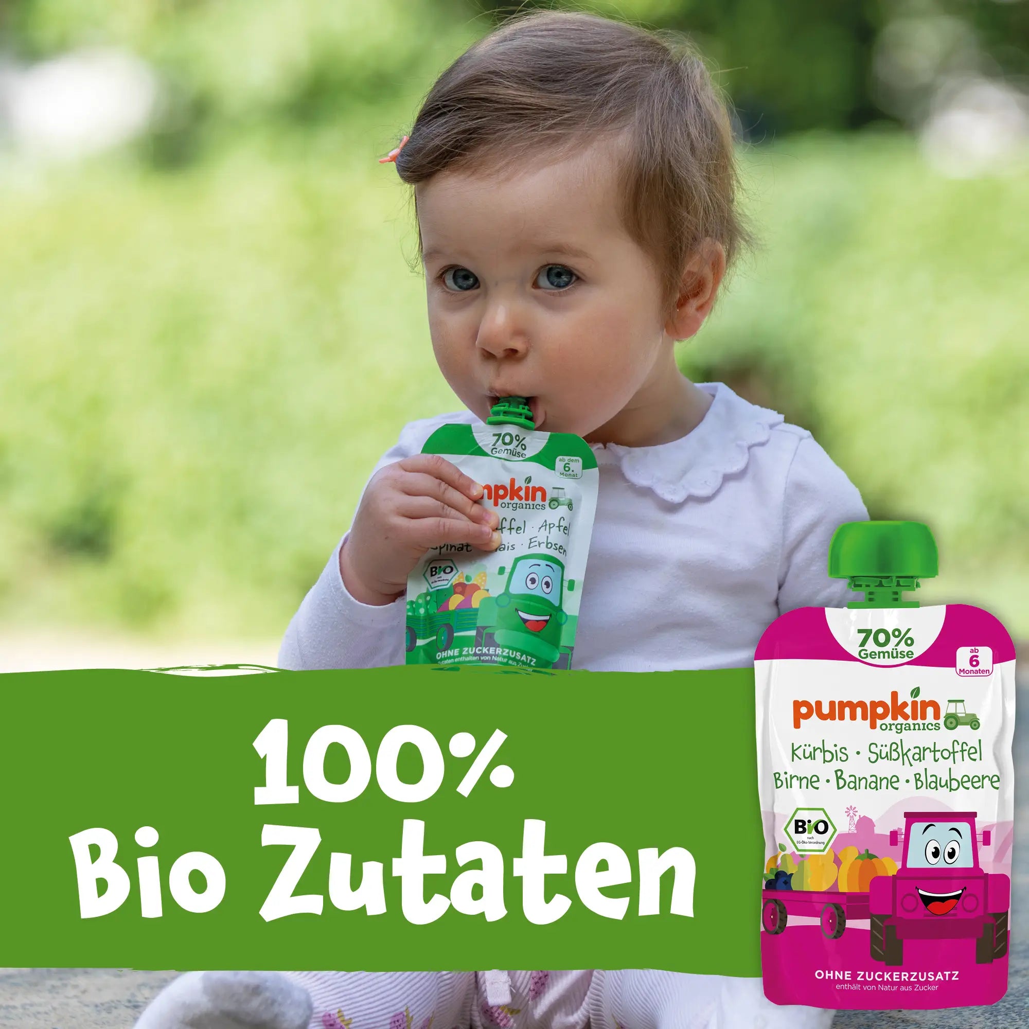 Bio Gemüse - Quetschie Kürbis, Süßkartoffel, Birne, Banane, Blaubeere - Pumpkin Organics